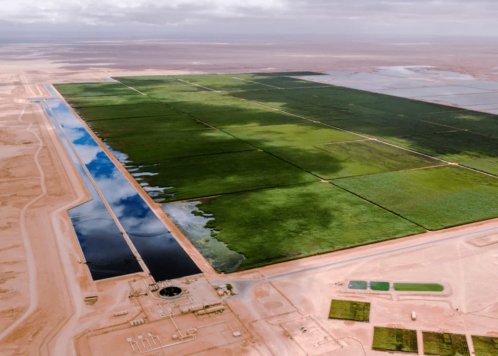 PDO is pleased to announce a Request for Information (RFI) to identify companies interested in developing projects that utilise the treated water available at the Nimr Water Treatment Plant (NWTP).