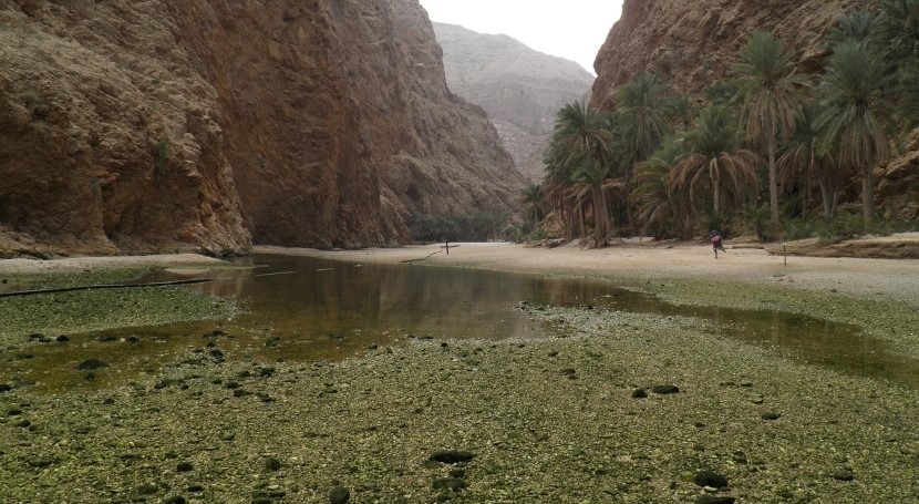 Oman issues tender for drainage channels, part of initiative to improve flood control