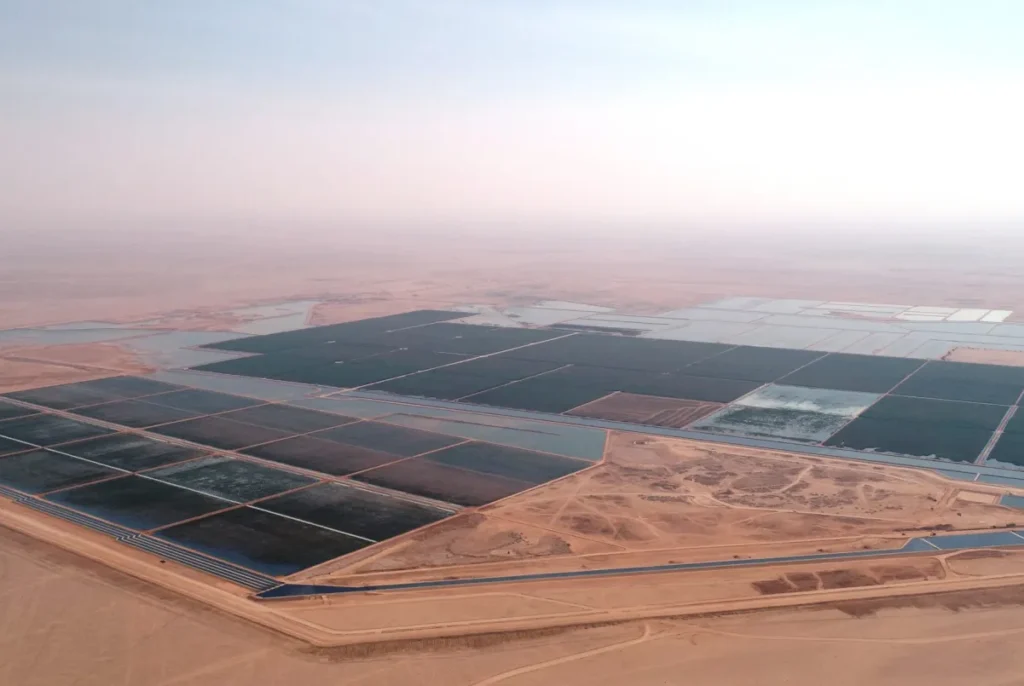 Oman: Energy and utility sectors perform steadily in 2024